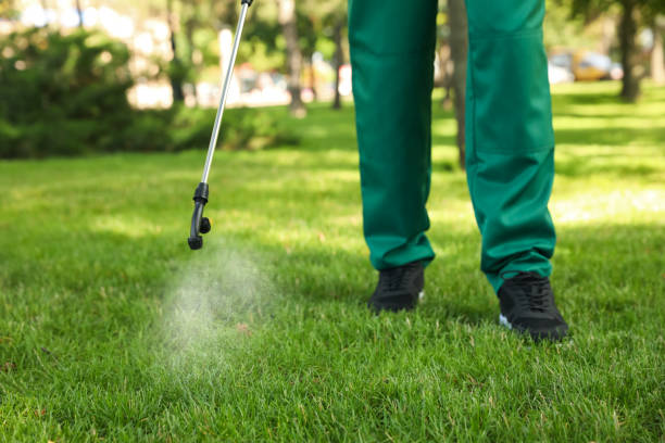 Best Mosquito Control Services  in Unicoi, TN