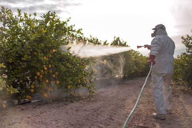 Best Exterminator Services  in Unicoi, TN