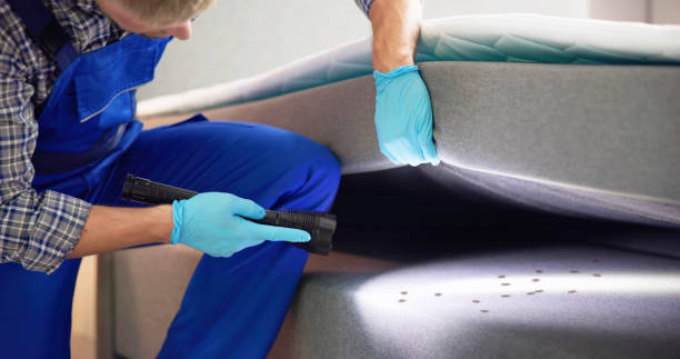 Best Wasp Removal Services  in Unicoi, TN