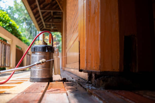 Best Exterminator Services  in Unicoi, TN