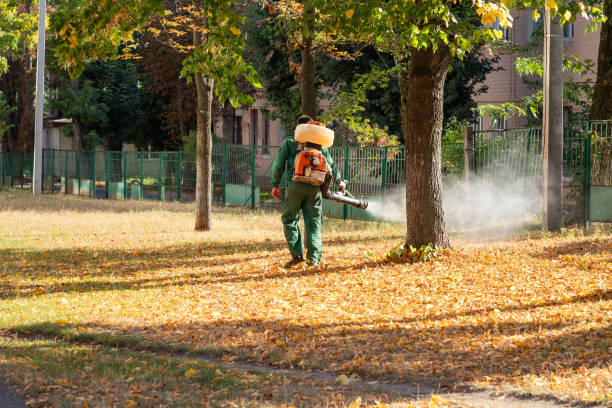 Pest Prevention Services in Unicoi, TN