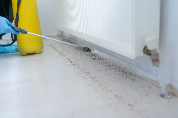Best Bed Bug Extermination  in Unicoi, TN