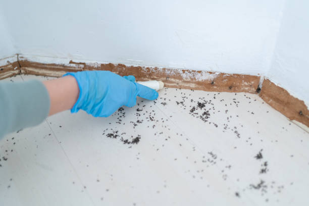 Unicoi, TN Pest Control Company