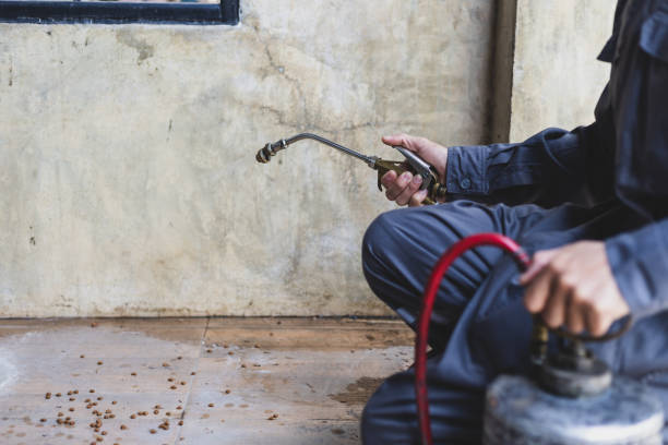 Best Residential Pest Control  in Unicoi, TN